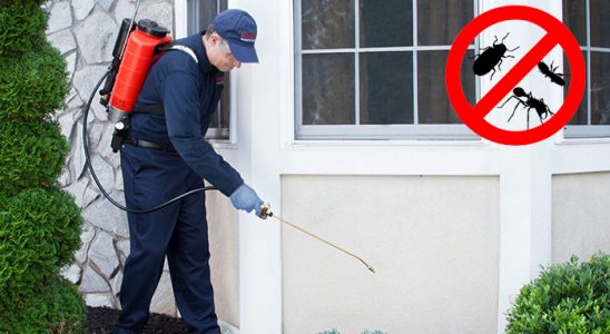 Başmakçı Gümüşkurt İlaçlama böcek ilaçlama ve haşere kontrolü — ilaclama-tr.com